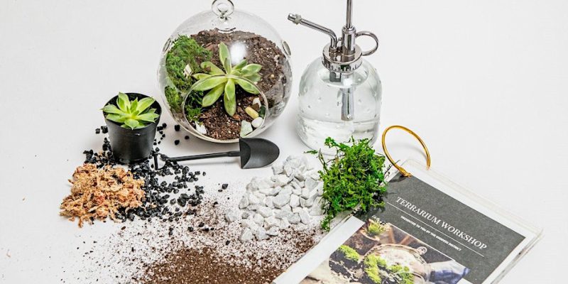 Workshop Terrarium