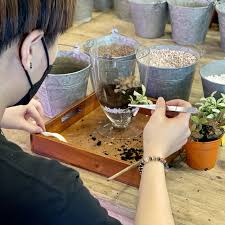 Trải nghiệm Workshop Terrarium